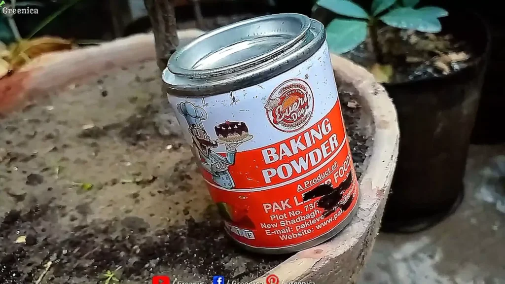 Baking powder