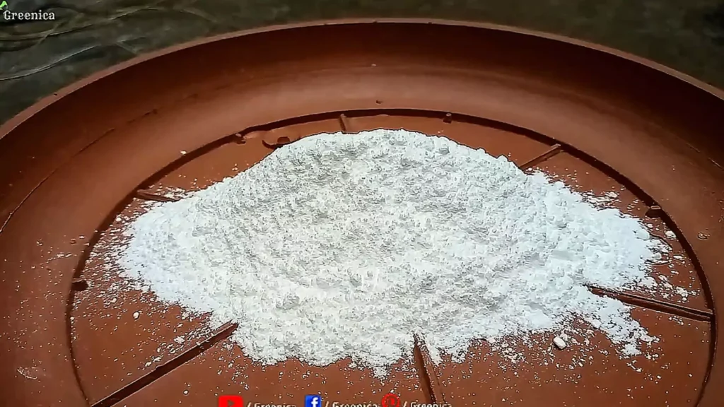 Baking powder in bowl